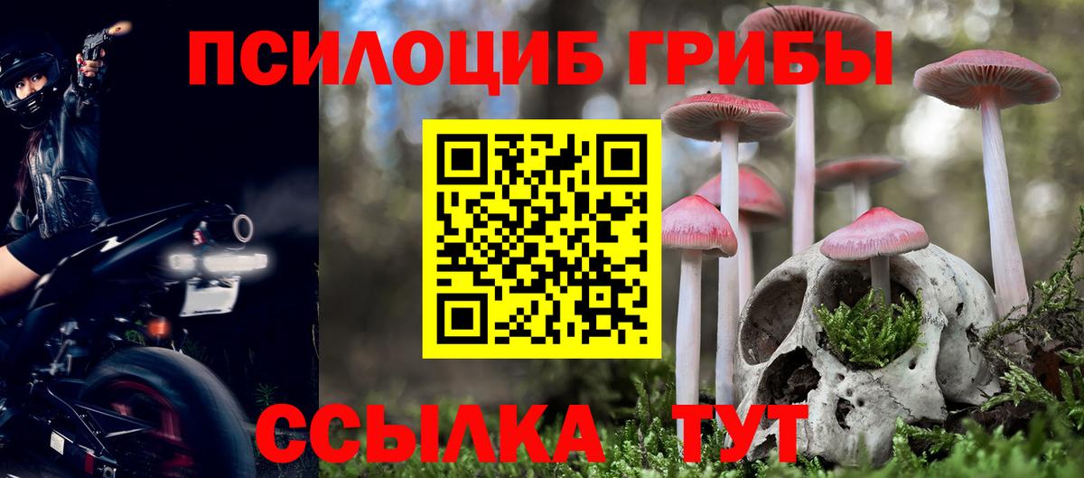 Нерюнгри  Псилоцибиновые грибы Magic Shrooms  Вход с VPN 