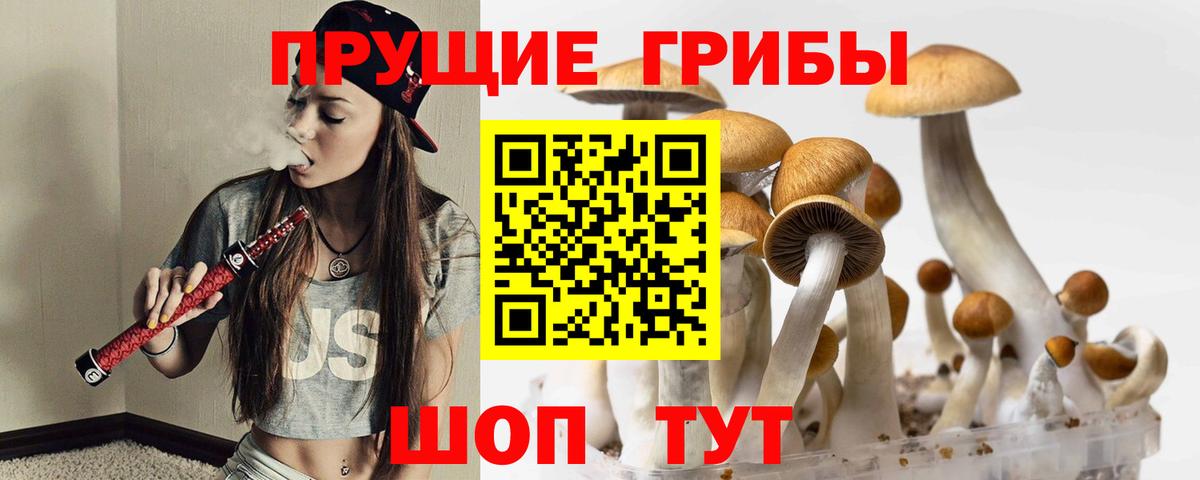 Галлюциногенные грибы Psilocybe Нерюнгри
